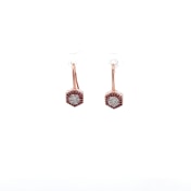 The Hexabelle Hook Earrings - thumb 1
