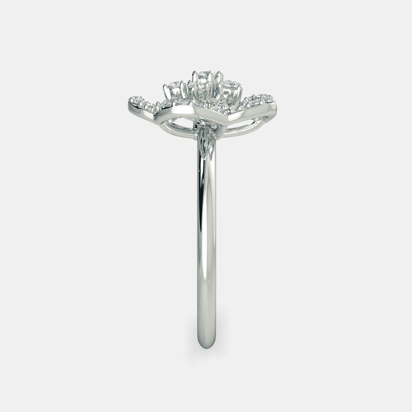 The Kartiki Ring - image 4