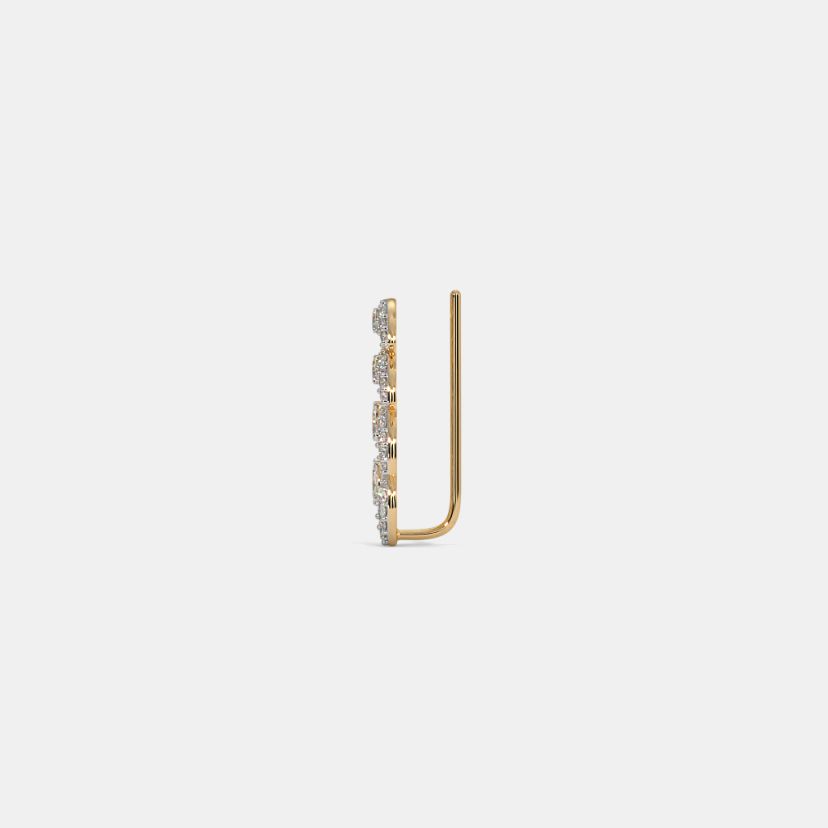 The Chrisley Ear Climbers - image 5