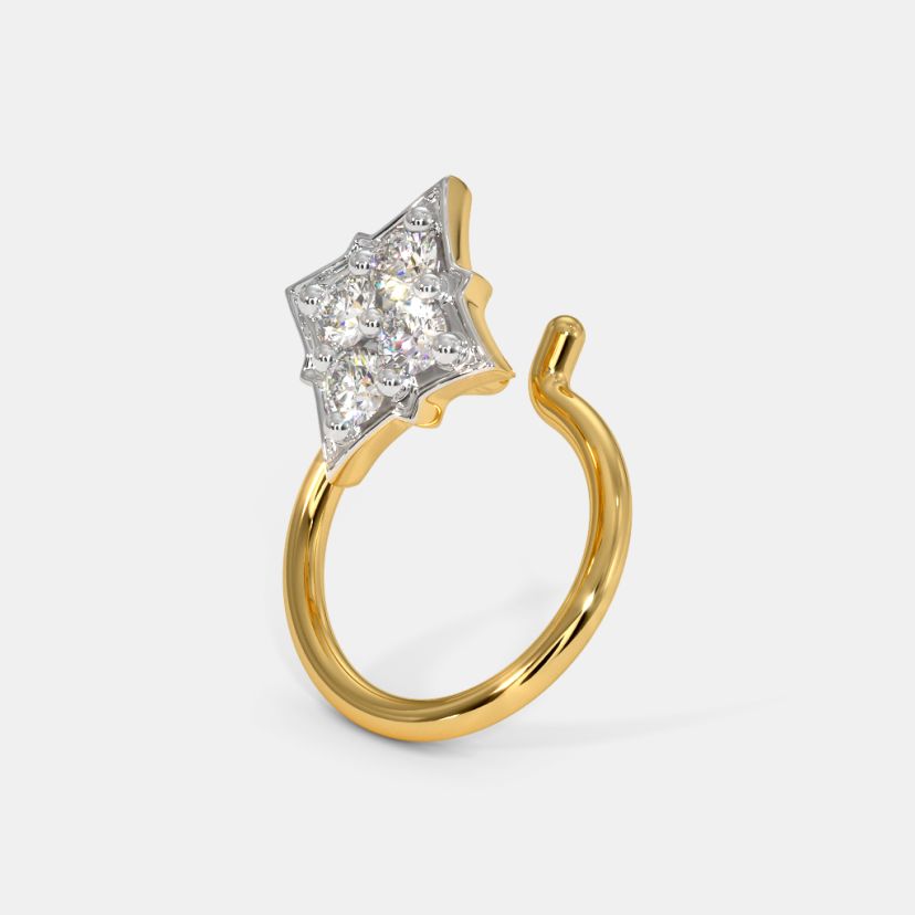 The Gandaki Nose Pin - image 1