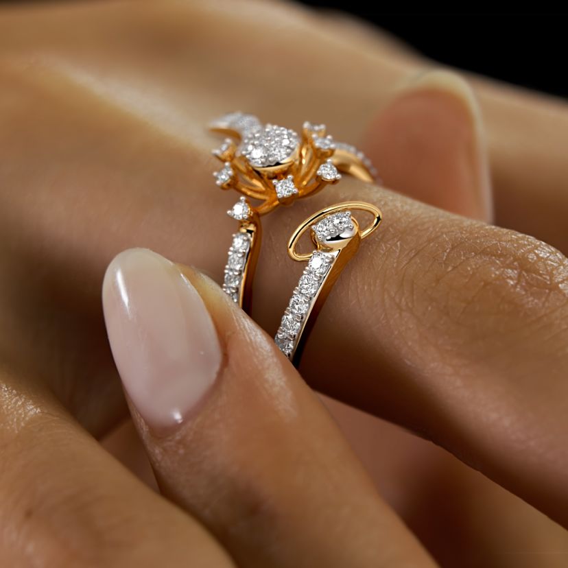 The In the Star Ring - image 5