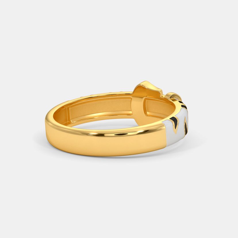 The Zebra Buckle Band - image 7