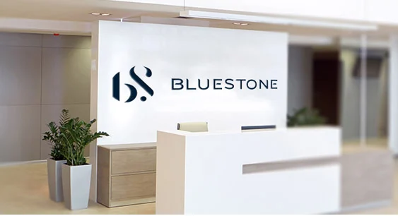 Bluestone jewellery and lifestyle private limited new arrivals